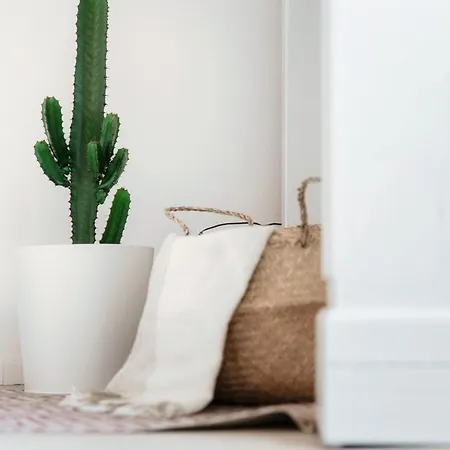 Silvia House - The House Of Travelers *